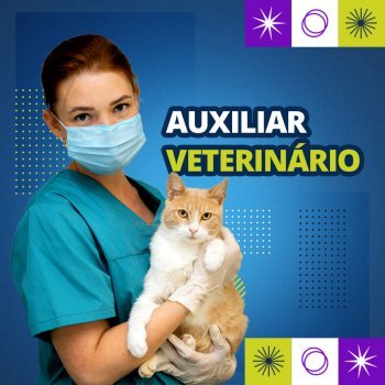 Auxiliar Veterinário